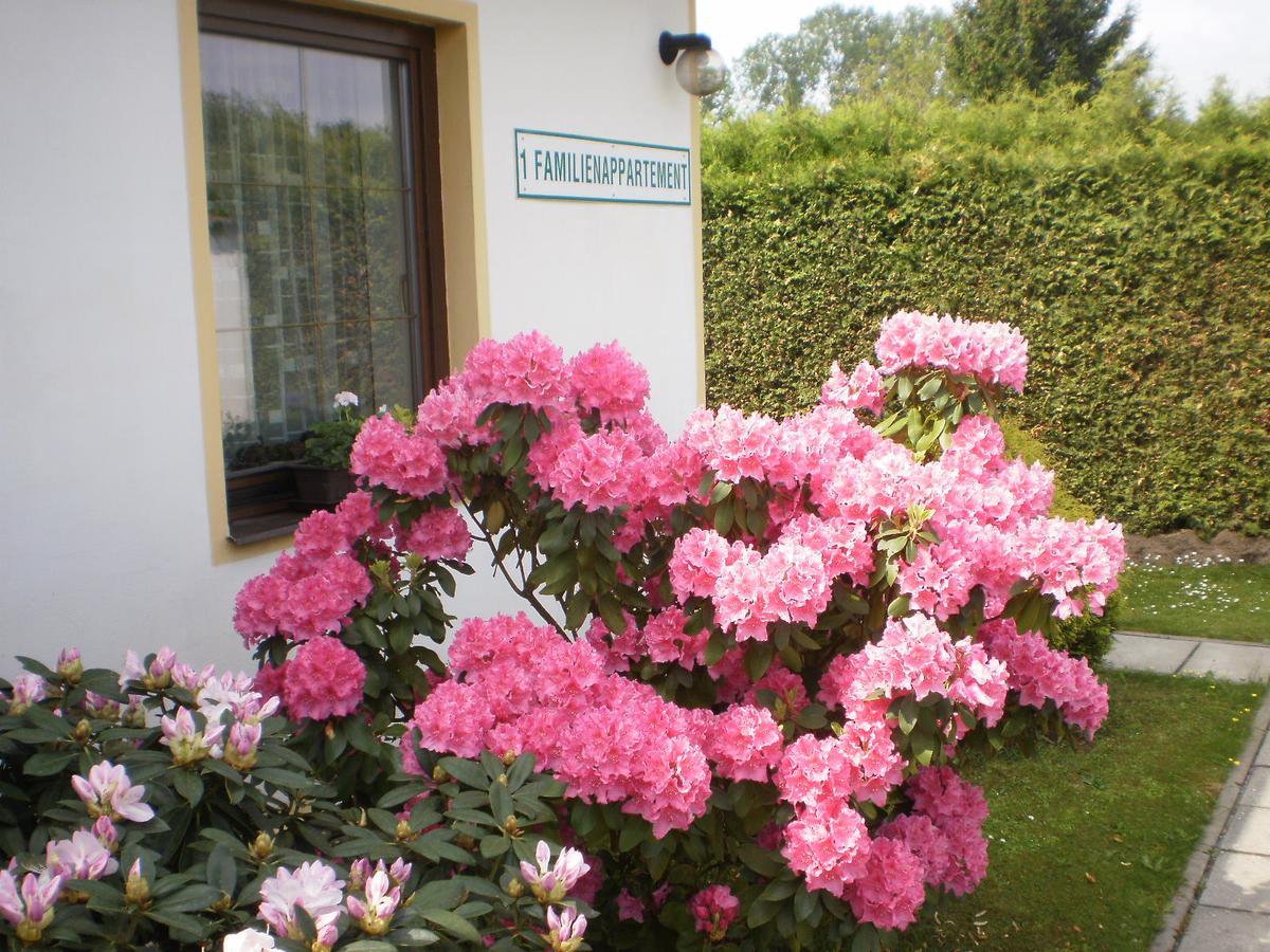 Apartamento Privat Buk 100 Jindřichův Hradec Exterior foto